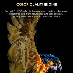 H20PRO Smart Android TV Box Android 10.0 16GB 2.4 & 5G WIFI 4K lecteur multimédia TV Box Android Play Store très rapide 1080P décodeur