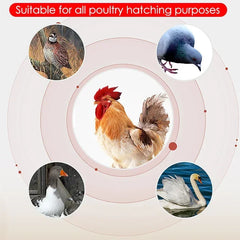 Incubateur d'œufs électrique Intelligent à double électrique, entièrement automatique, pour poulet, canard, oie, Pigeon, ferme de volaille, couveuse d'oiseaux, 24