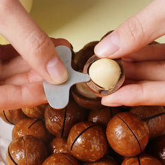 Mini Casse-Noix en Acier Inoxydable, Ouvre-Brochure Portable, Accessoires de Cuisine de Camping, Outils, 4 Pièces/Ensemble, Nouveauté 2025