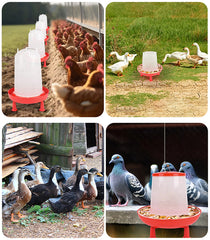 Mangeoire à boire pour volaille, poulailler jetable, alimentation en eau, caille et dinde, E27, 3L, 1.5kg, 3kg