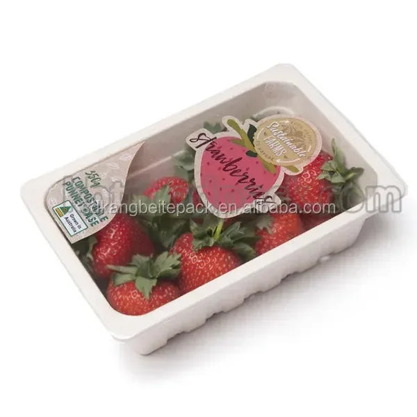 Machine d'emballage sous vide pour aliments, fruits de mer, viande, type lointain, carte, escales modifiées, KBT1200