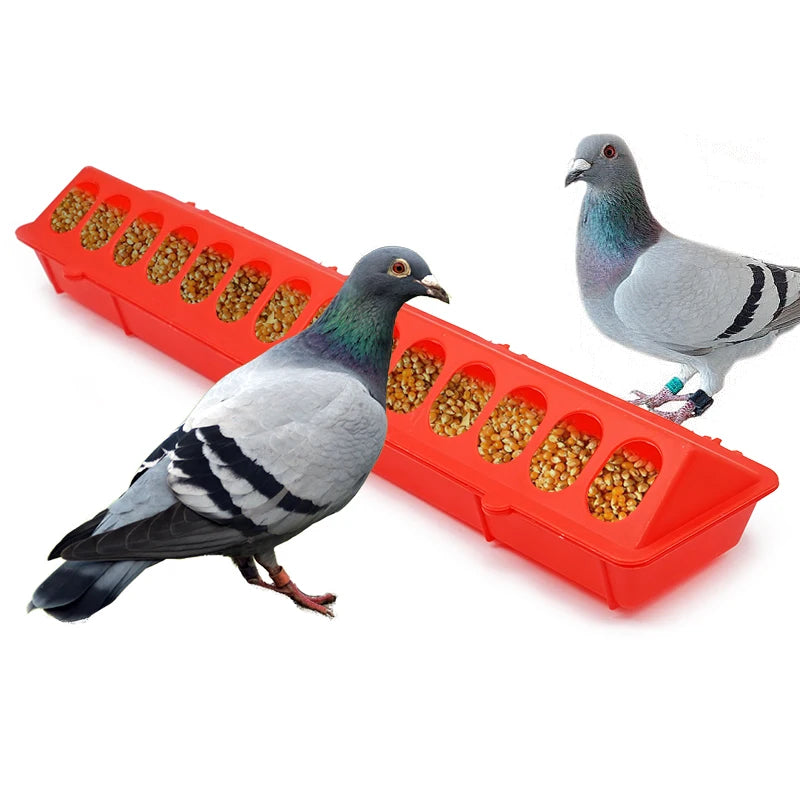 Fontaine d'alimentation jetable pour volaille, outils d'alimentation, poussin et oiseau, sol, 12-28 trous, 20 cm, 30 cm, 40 cm, 50cm, 1 pièce