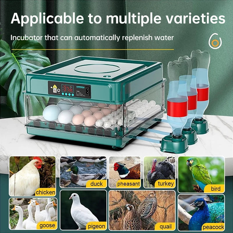 Incubateur d'œufs de 9 à 48 œufs, avec rotation automatique des œufs et surveillance de l'humidité, incubateur de canard avec lit d'eau ionique automatique