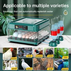 Incubateur d'œufs de 9 à 48 œufs, avec rotation automatique des œufs et surveillance de l'humidité, incubateur de canard avec lit d'eau ionique automatique