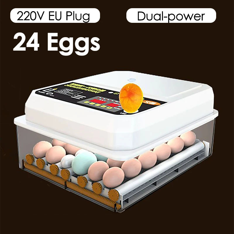 Incubateur d'œufs électrique Intelligent à double électrique, entièrement automatique, pour poulet, canard, oie, Pigeon, ferme de volaille, couveuse d'oiseaux, 24