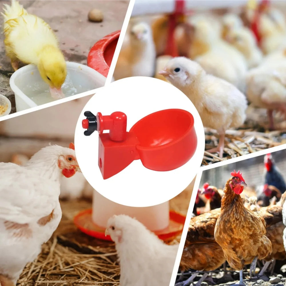 Gobelet à boire pour poulet, abreuvoir automatique, mangeoire pour poulet, abreuvoir en plastique pour volaille, mangeoire pour poussins, canard, oie, caille