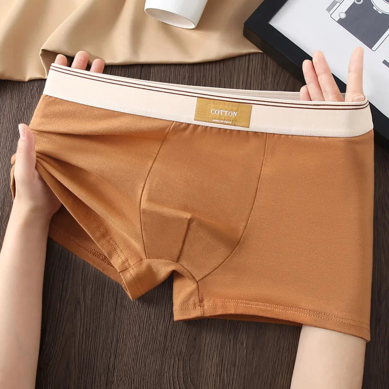 Cotton Boxers Shorts Man Men's Panties Male Basic Boxer Briefs Plus Size Underpants  Breathable Underwear Lingerie For Men