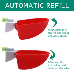 5 pièces bol à boire automatique pour oie canard poulet tasse d'eau abreuvoir bol ferme volaille abreuvoir bols à boire distributeur d'eau