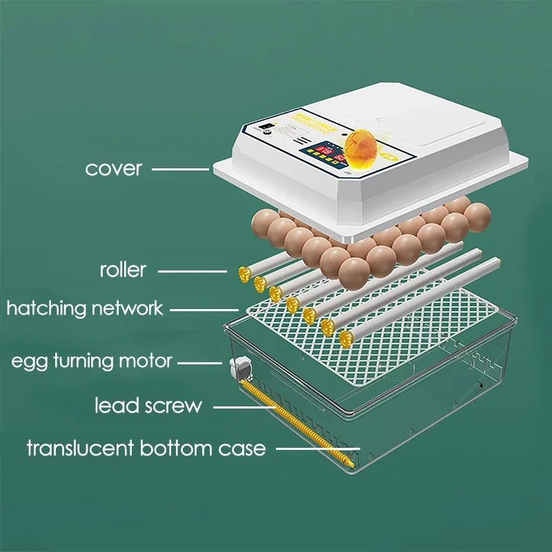 Incubateur d'œufs électrique Intelligent à double électrique, entièrement automatique, pour poulet, canard, oie, Pigeon, ferme de volaille, couveuse d'oiseaux, 24