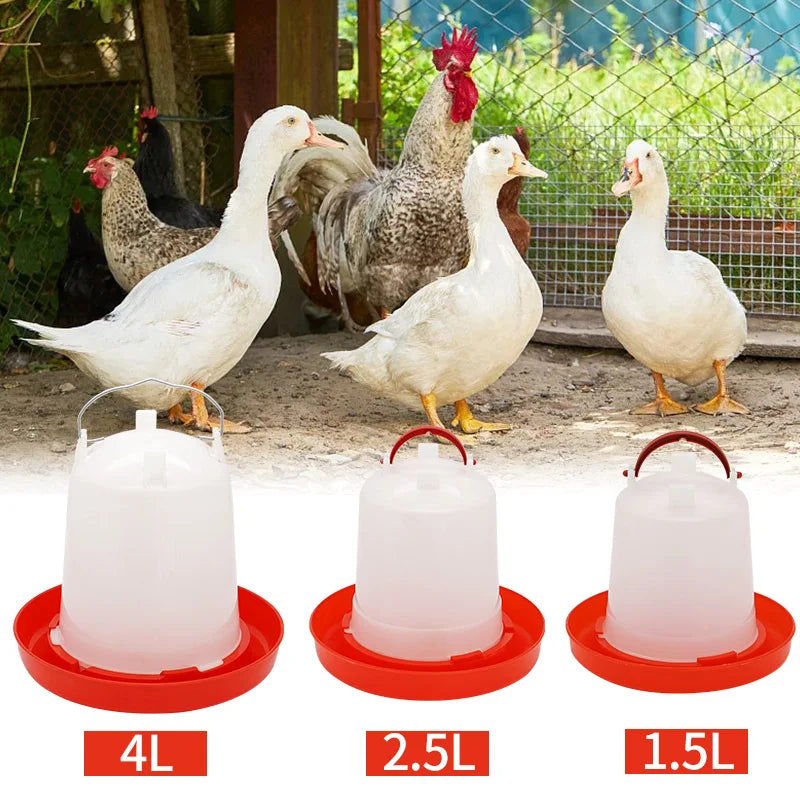 Distributeur d'eau automatique pour poulet, 1.5/2.5/4l, abreuvoir pour poussins, seau, outils agricoles, abreuvoir pour caille, abreuvoir pour oiseaux, alimentation pour volaille