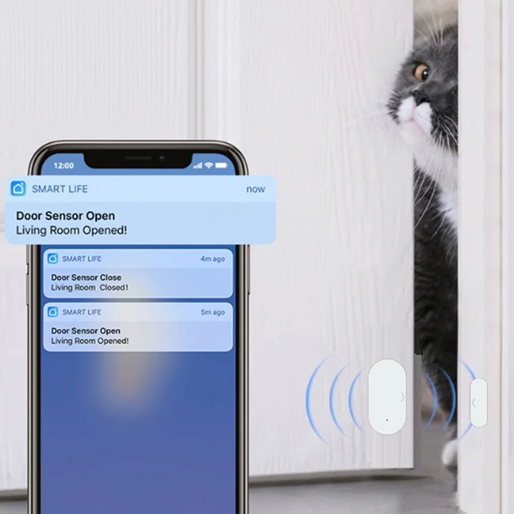 Capteur de Contact de capteur de fenêtre de porte Tuya Zigbee pour le travail de maison intelligente avec Alexa Google Home Yandex