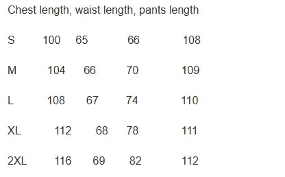 Ensemble 2 pièces pantalon et chemisier à ceinture pour femme, streetwear féminin, tenues décontractées, polyvalent, imbibé, mode, automne, hiver, nouveau, 2023