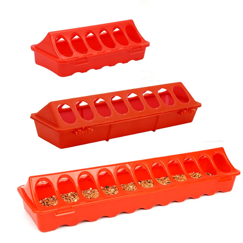 Fontaine d'alimentation jetable pour volaille, outils d'alimentation, poussin et oiseau, sol, 12-28 trous, 20 cm, 30 cm, 40 cm, 50cm, 1 pièce