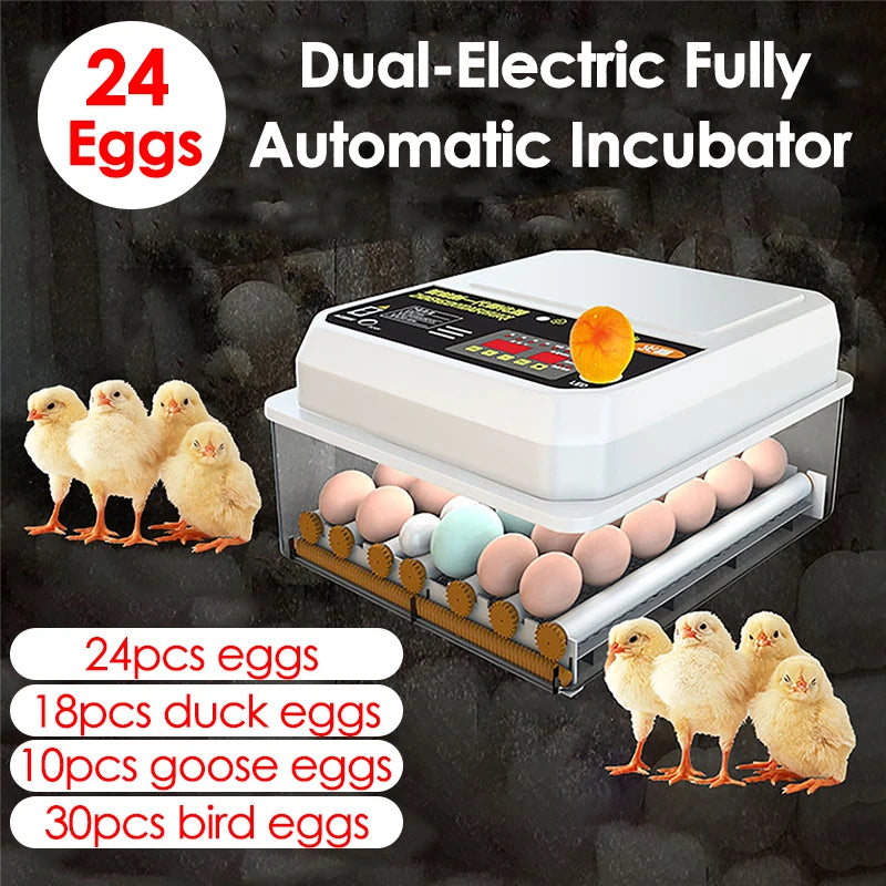 Incubateur d'œufs électrique Intelligent à double électrique, entièrement automatique, pour poulet, canard, oie, Pigeon, ferme de volaille, couveuse d'oiseaux, 24
