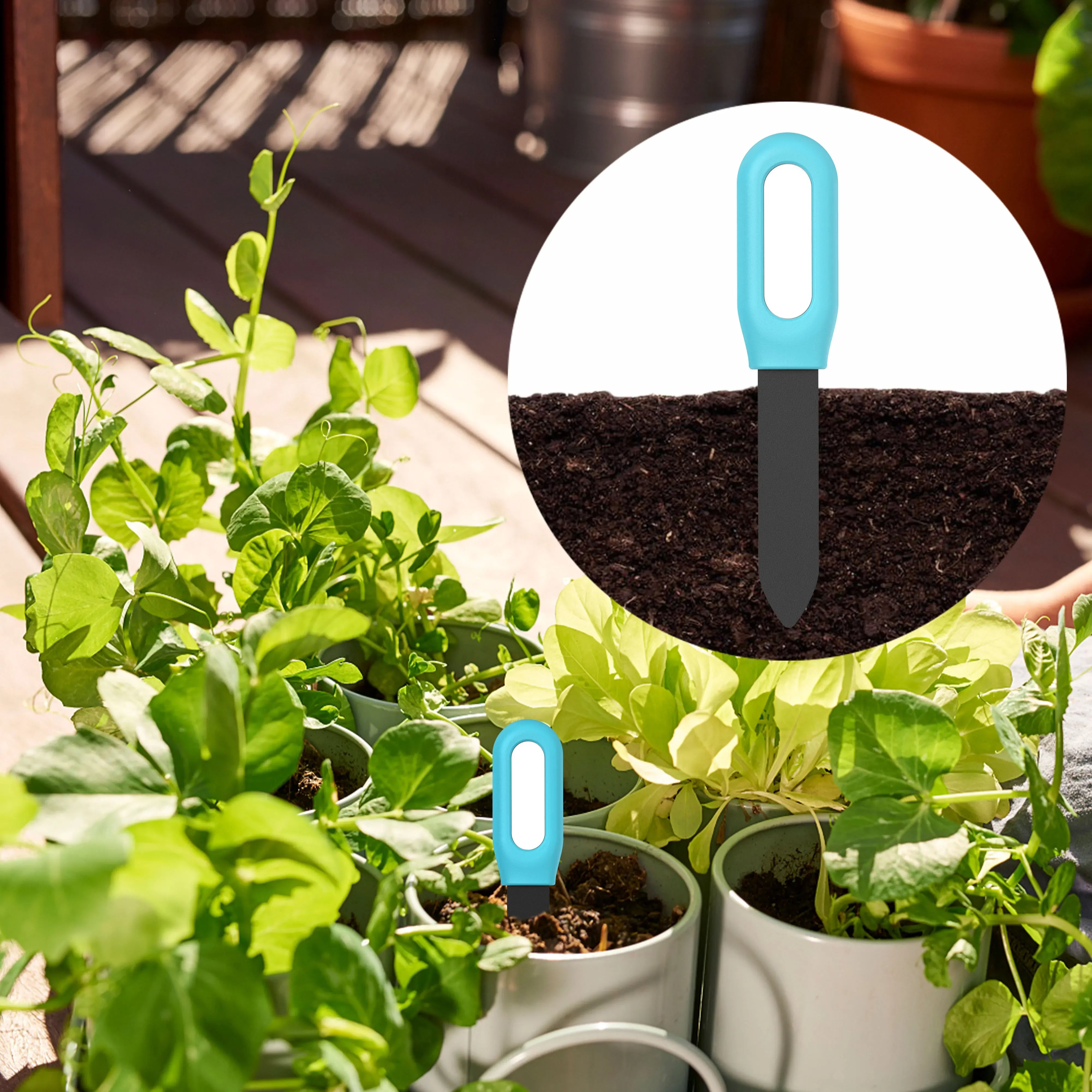 Haozee Tuya – testeur de sol intelligent Zigbee, compteur de température et d'humidité, thermo-hygromètre, automatisation du jardin, détecteur d'irrigation