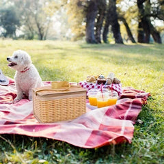Nouveau Conteneur alimentaire Portable panier sac isolant boîte à déjeuner sac de pique-nique pour Camping en plein air stockage à domicile