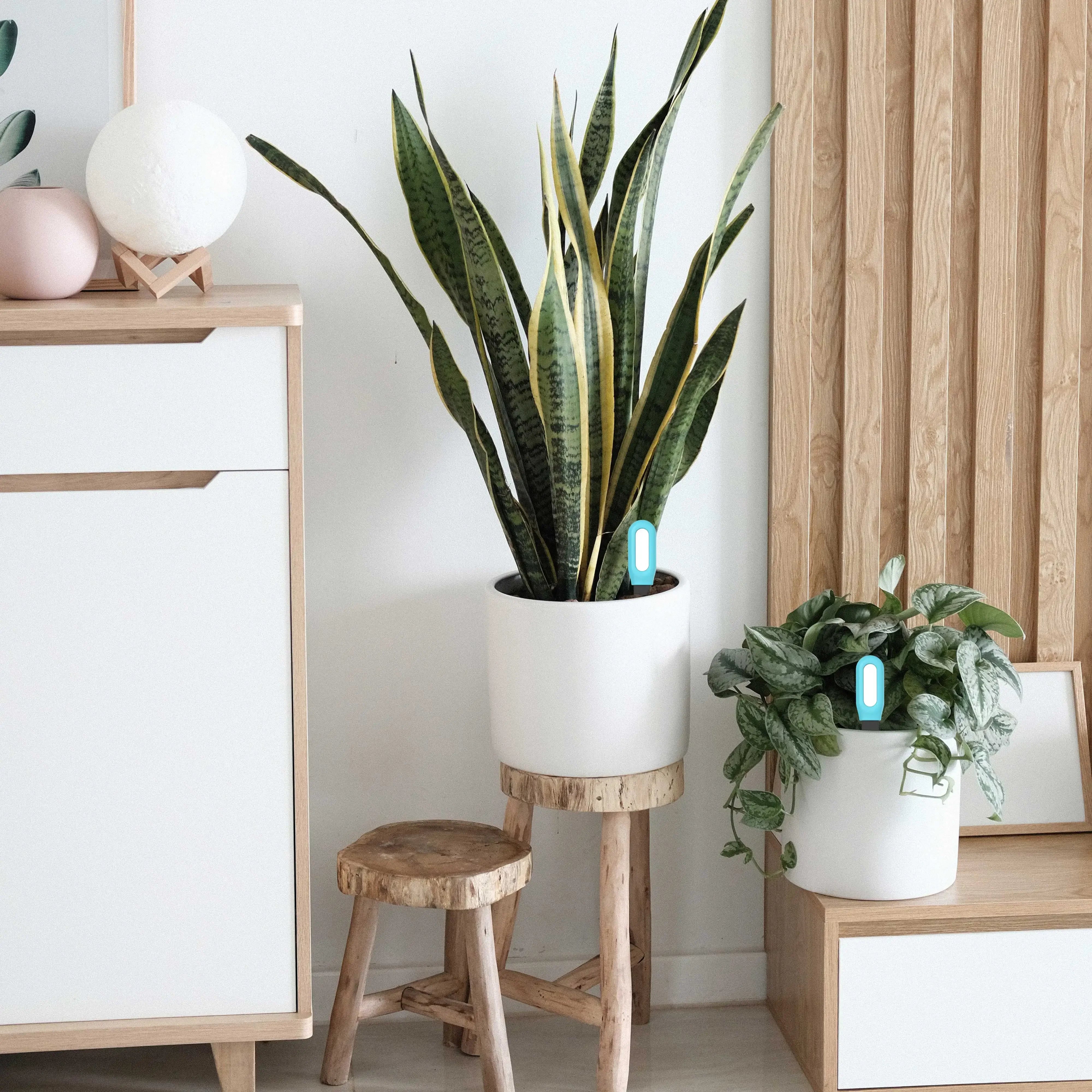 Haozee Tuya – testeur de sol intelligent Zigbee, compteur de température et d'humidité, thermo-hygromètre, automatisation du jardin, détecteur d'irrigation
