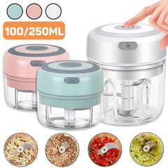 100/250mL Mini hachoir à ail électrique légumes Chili viande gingembre Masher Machine robuste Durable USB charge mélangeurs cuisine
