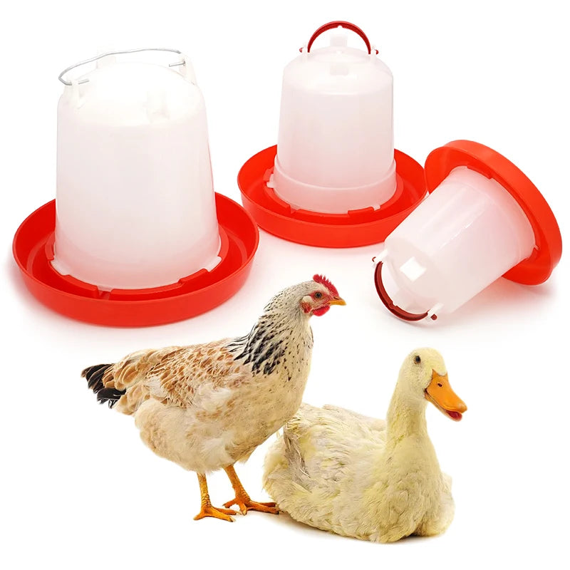 Distributeur d'eau automatique pour poulet, 1.5/2.5/4l, abreuvoir pour poussins, seau, outils agricoles, abreuvoir pour caille, abreuvoir pour oiseaux, alimentation pour volaille